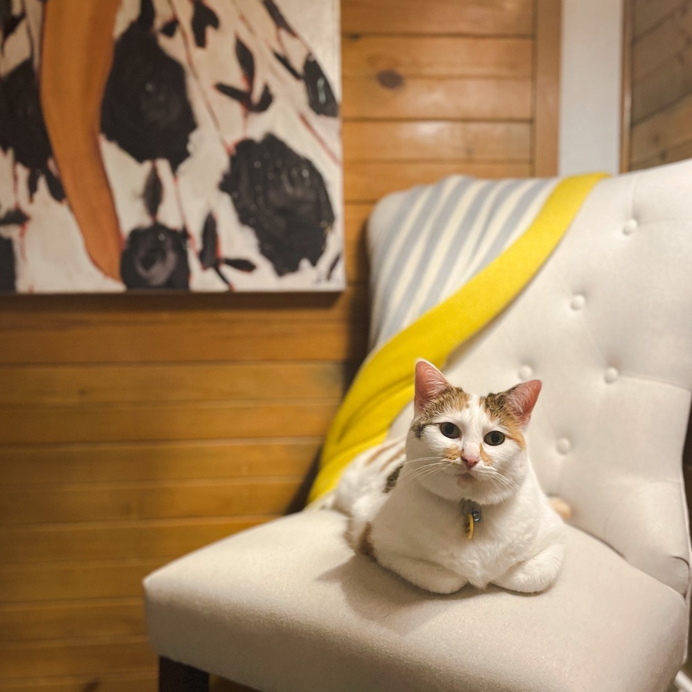 Meet your Posher, Anjie